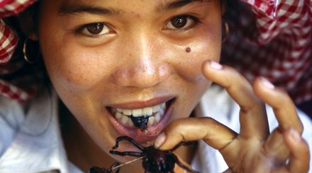 Man Eating Bugs: The Art and Science of Eating Insects book image